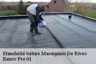 Etanchéité toiture  massignieu-de-rives-01300 Renov Pro 01