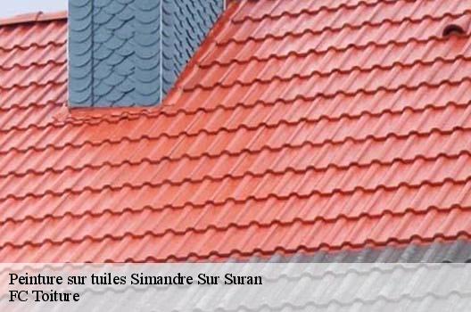 Peinture sur tuiles  simandre-sur-suran-01250 FC Toiture