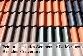 Peinture sur tuiles  sonthonnax-la-montagne-01580 Beaudier Couverture 