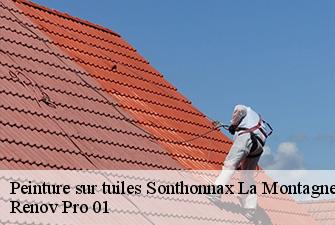 Peinture sur tuiles  sonthonnax-la-montagne-01580 Renov Pro 01