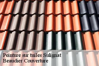 Peinture sur tuiles  sulignat-01400 Beaudier Couverture 