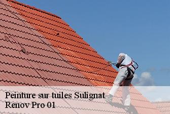 Peinture sur tuiles  sulignat-01400 Renov Pro 01