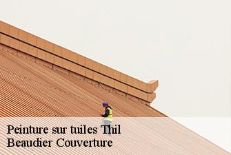 Peinture sur tuiles  thil-01120 Beaudier Couverture 