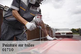 Peinture sur tuiles  thoiry-01710 Beaudier Couverture 