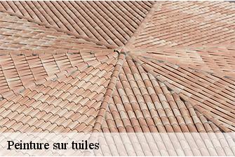 Peinture sur tuiles  la-trancliere-01160 Beaudier Couverture 