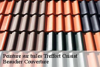 Peinture sur tuiles  treffort-cuisiat-01370 Beaudier Couverture 