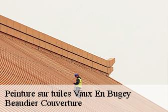 Peinture sur tuiles  vaux-en-bugey-01150 Beaudier Couverture 
