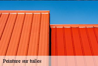 Peinture sur tuiles  vaux-en-bugey-01150 Beaudier Couverture 