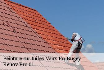 Peinture sur tuiles  vaux-en-bugey-01150 Renov Pro 01