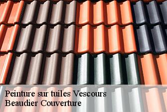 Peinture sur tuiles  vescours-01560 Beaudier Couverture 