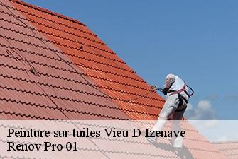 Peinture sur tuiles  vieu-d-izenave-01430 Renov Pro 01