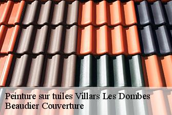 Peinture sur tuiles  villars-les-dombes-01330 Beaudier Couverture 