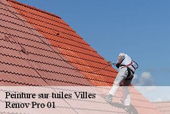 Peinture sur tuiles  villes-01200 Renov Pro 01
