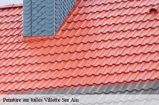 Peinture sur tuiles  villette-sur-ain-01320 