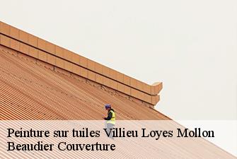 Peinture sur tuiles  villieu-loyes-mollon-01800 Beaudier Couverture 