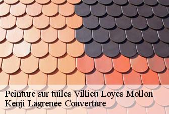 Peinture sur tuiles  villieu-loyes-mollon-01800 Kenji Lagrenee Couverture
