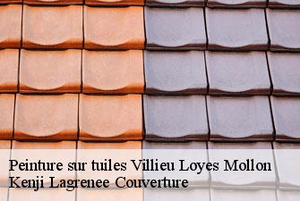 Peinture sur tuiles  villieu-loyes-mollon-01800 Kenji Lagrenee Couverture