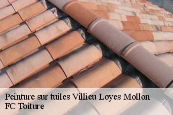 Peinture sur tuiles  villieu-loyes-mollon-01800 FC Toiture