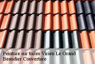 Peinture sur tuiles  virieu-le-grand-01510 Beaudier Couverture 