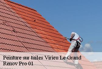 Peinture sur tuiles  virieu-le-grand-01510 Renov Pro 01