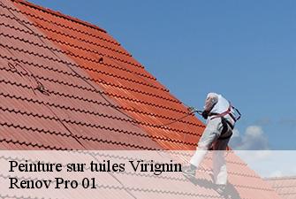 Peinture sur tuiles  virignin-01300 Renov Pro 01