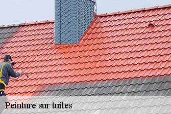 Peinture sur tuiles  virignin-01300 Renov Pro 01