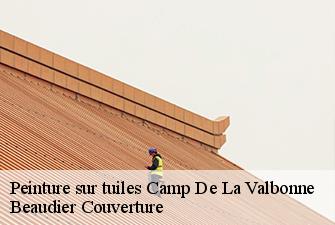 Peinture sur tuiles  camp-de-la-valbonne-01360 Beaudier Couverture 