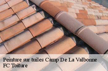Peinture sur tuiles  camp-de-la-valbonne-01360 FC Toiture
