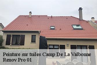 Peinture sur tuiles  camp-de-la-valbonne-01360 Renov Pro 01