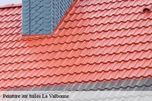 Peinture sur tuiles  la-valbonne-01360 
