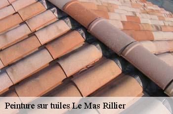 Peinture sur tuiles  le-mas-rillier-01700 