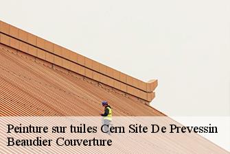 Peinture sur tuiles  cern-site-de-prevessin-01630 Beaudier Couverture 