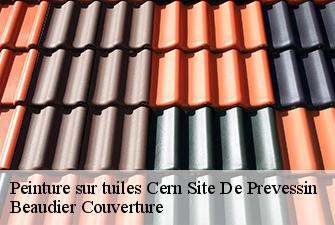 Peinture sur tuiles  cern-site-de-prevessin-01630 Beaudier Couverture 