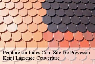 Peinture sur tuiles cern-site-de-prevessin-01630 Kenji Lagrenee Couverture