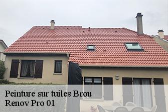Peinture sur tuiles brou-01000 Renov Pro 01