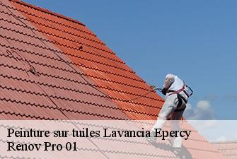 Peinture sur tuiles  lavancia-epercy-01590 Renov Pro 01