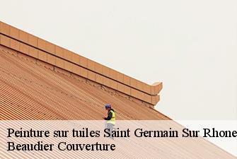 Peinture sur tuiles  saint-germain-sur-rhone-01200 Beaudier Couverture 