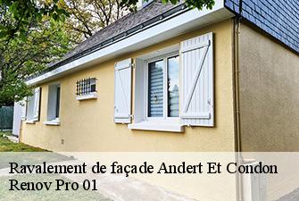 Ravalement de façade  andert-et-condon-01300 Renov Pro 01