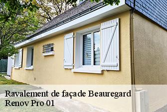 Ravalement de façade  beauregard-01480 Renov Pro 01