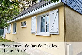 Ravalement de façade  challex-01630 Renov Pro 01