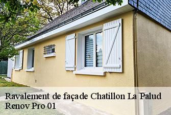 Ravalement de façade  chatillon-la-palud-01320 Renov Pro 01