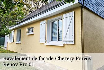 Ravalement de façade  chezery-forens-01200 Renov Pro 01
