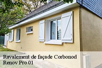 Ravalement de façade  corbonod-01420 Renov Pro 01