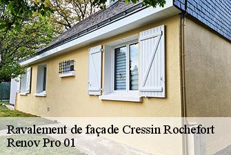 Ravalement de façade  cressin-rochefort-01350 Renov Pro 01