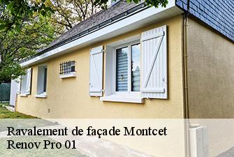 Ravalement de façade  montcet-01310 Renov Pro 01