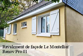 Ravalement de façade  le-montellier-01800 Renov Pro 01