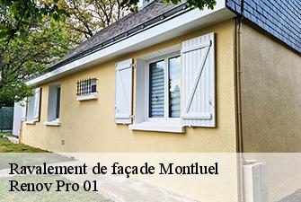 Ravalement de façade  montluel-01120 Renov Pro 01