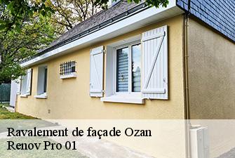 Ravalement de façade  ozan-01190 Renov Pro 01