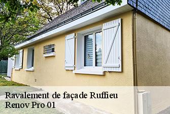 Ravalement de façade  ruffieu-01260 Renov Pro 01