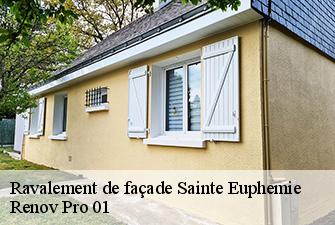 Ravalement de façade  sainte-euphemie-01600 Renov Pro 01